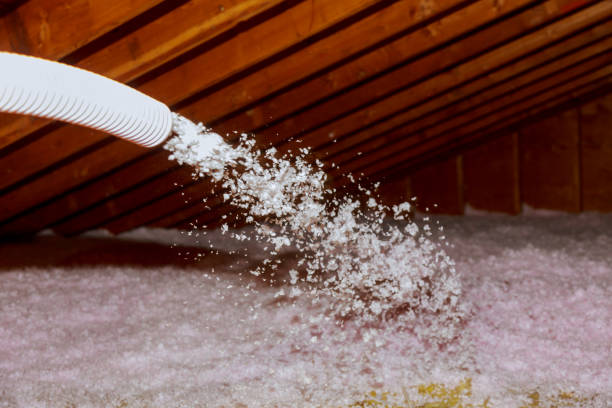 Best Energy Efficiency Insulation in Rochester Hills, MI
